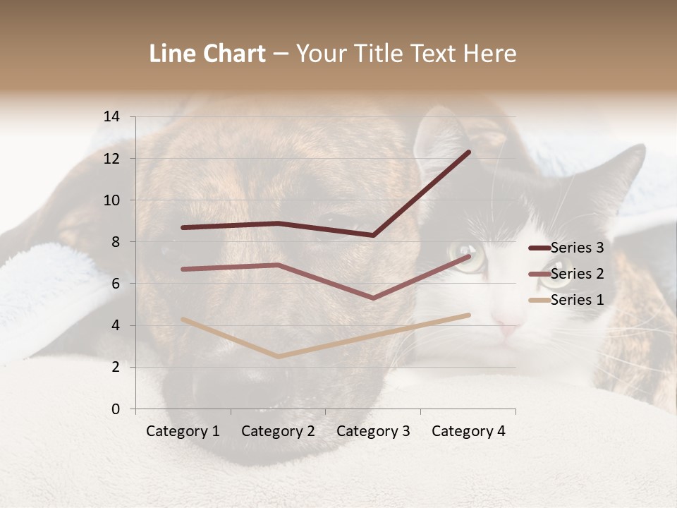 Gazing Relations Front PowerPoint Template