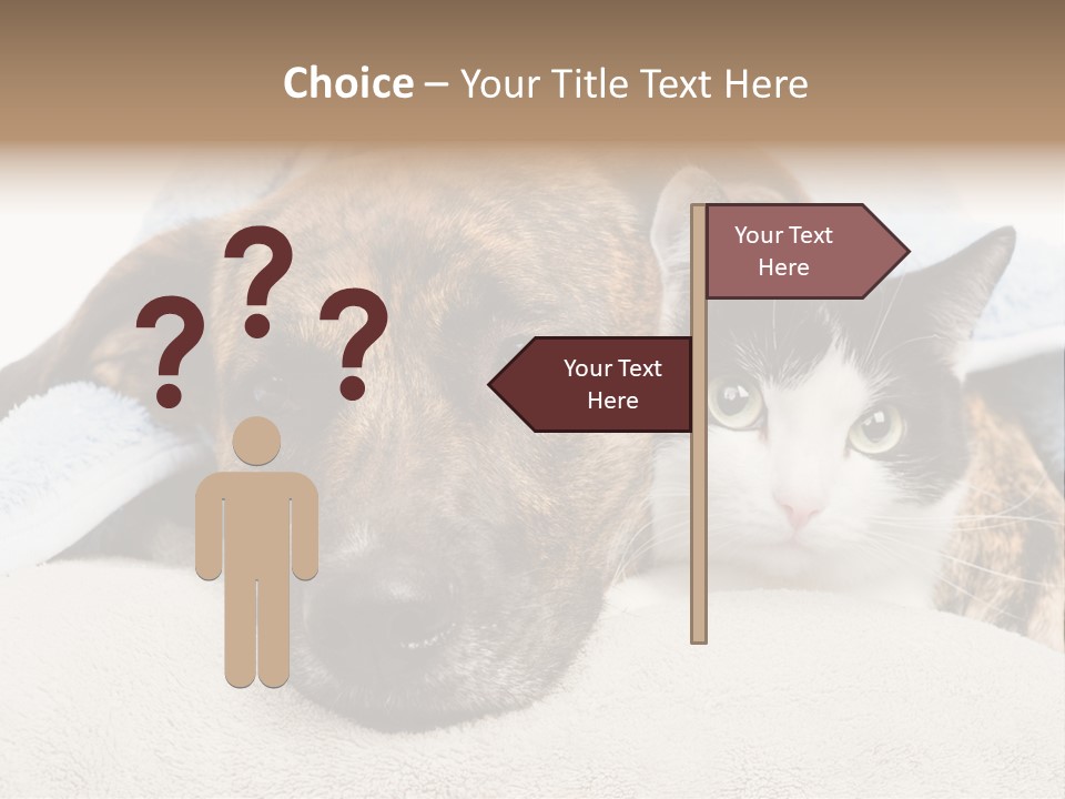 Gazing Relations Front PowerPoint Template