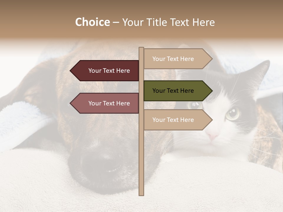 Gazing Relations Front PowerPoint Template