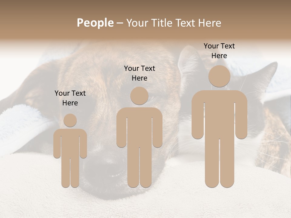 Gazing Relations Front PowerPoint Template