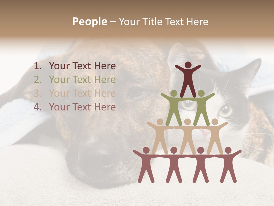 Gazing Relations Front PowerPoint Template