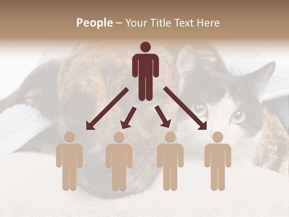 Gazing Relations Front PowerPoint Template