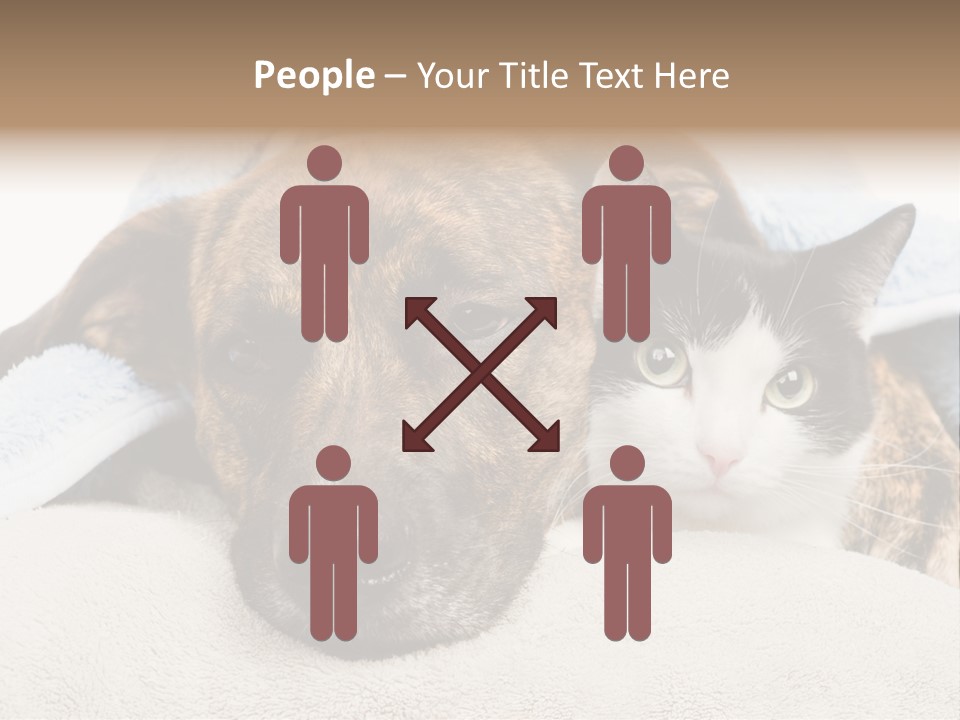 Gazing Relations Front PowerPoint Template