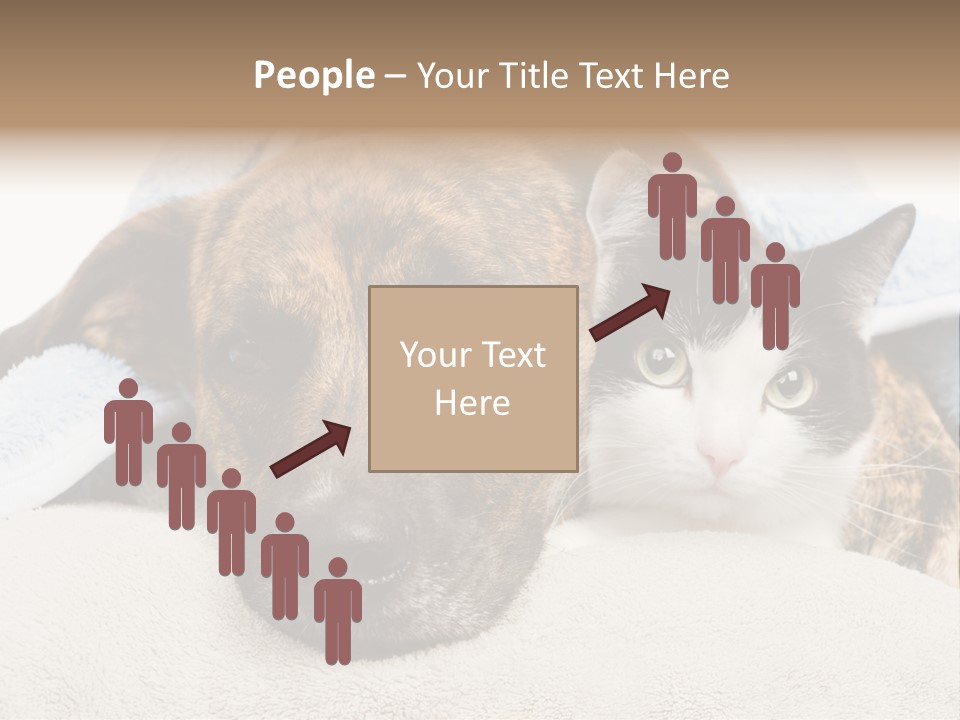 Gazing Relations Front PowerPoint Template