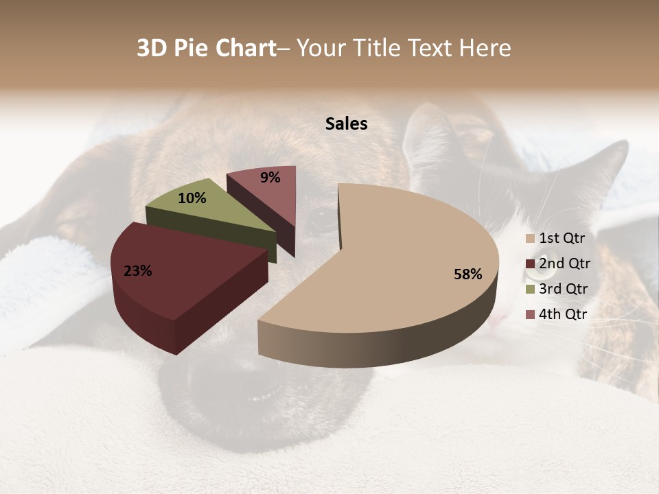 Gazing Relations Front PowerPoint Template