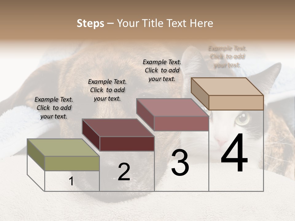 Gazing Relations Front PowerPoint Template