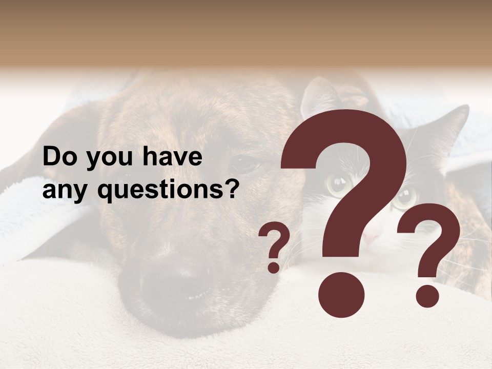 Gazing Relations Front PowerPoint Template