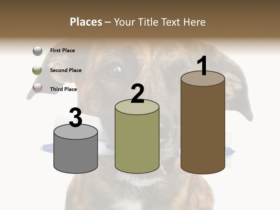 Adult Muzzle Cute PowerPoint Template