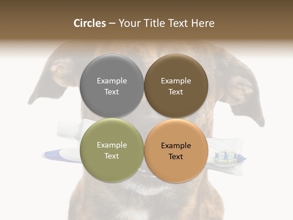 Adult Muzzle Cute PowerPoint Template