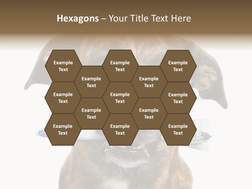 Adult Muzzle Cute PowerPoint Template