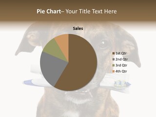 Adult Muzzle Cute PowerPoint Template