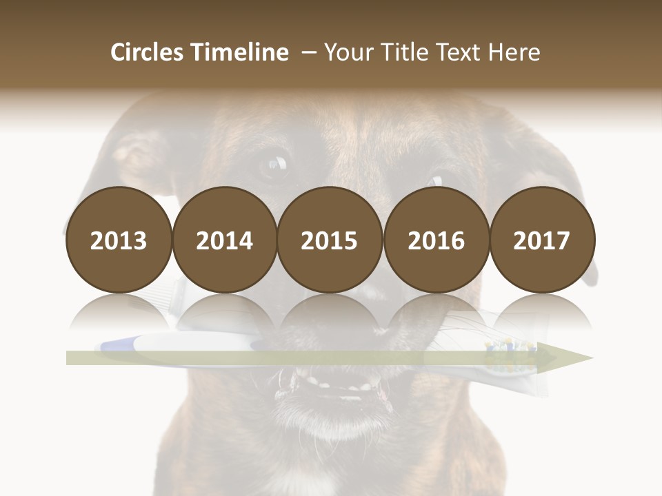 Adult Muzzle Cute PowerPoint Template
