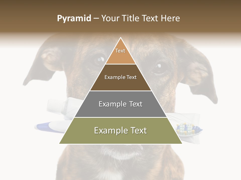 Adult Muzzle Cute PowerPoint Template