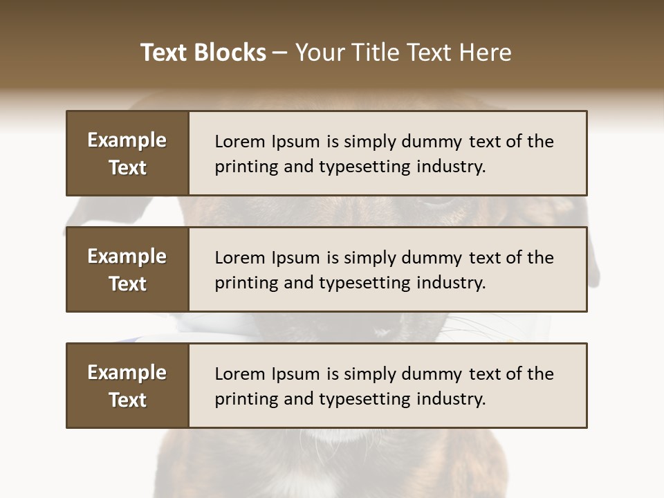 Adult Muzzle Cute PowerPoint Template