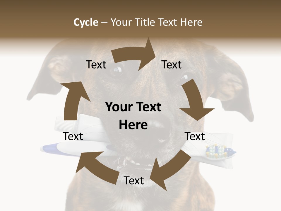 Adult Muzzle Cute PowerPoint Template