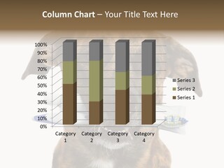 Adult Muzzle Cute PowerPoint Template