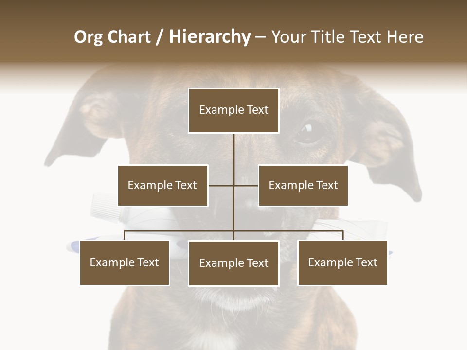 Adult Muzzle Cute PowerPoint Template