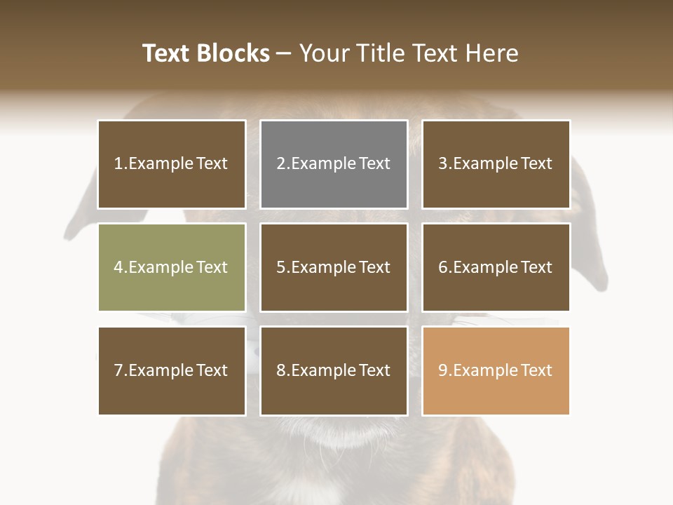 Adult Muzzle Cute PowerPoint Template