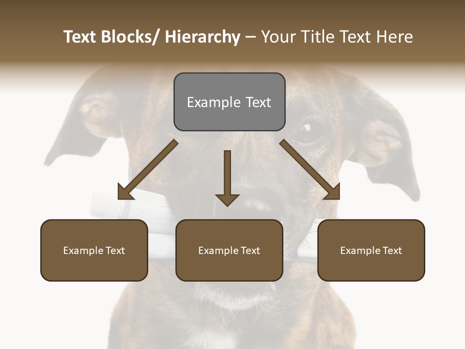Adult Muzzle Cute PowerPoint Template