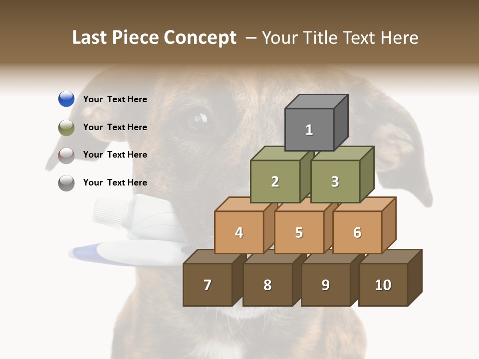 Adult Muzzle Cute PowerPoint Template