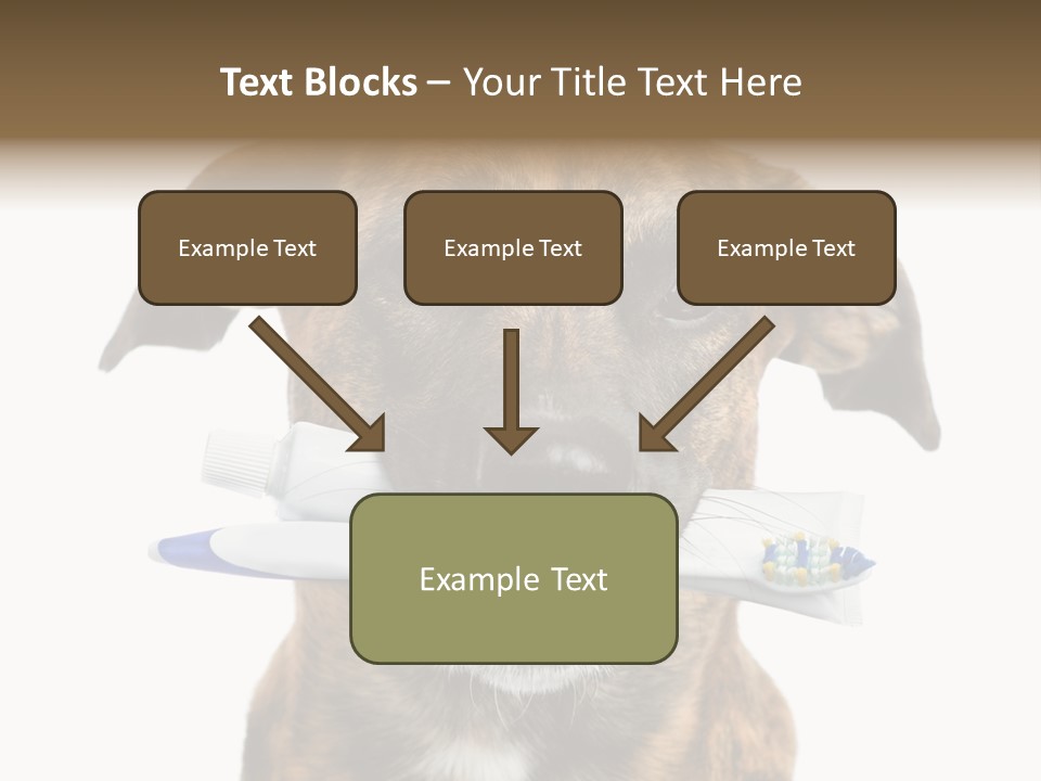 Adult Muzzle Cute PowerPoint Template