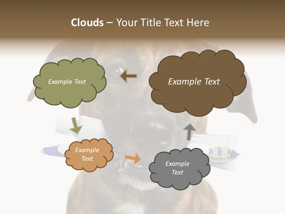 Adult Muzzle Cute PowerPoint Template