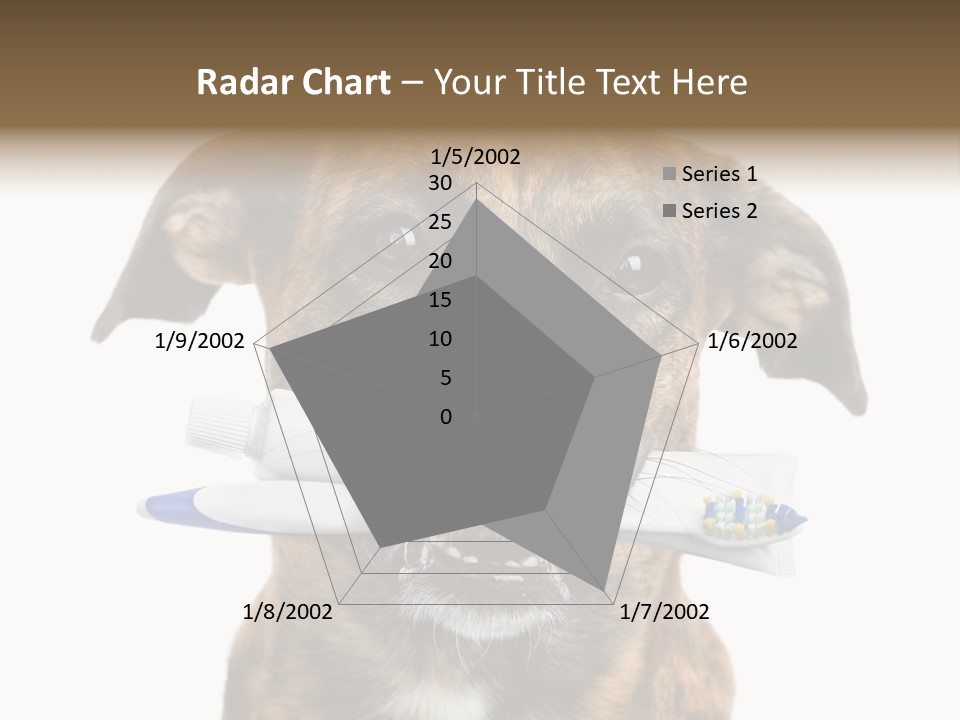 Adult Muzzle Cute PowerPoint Template