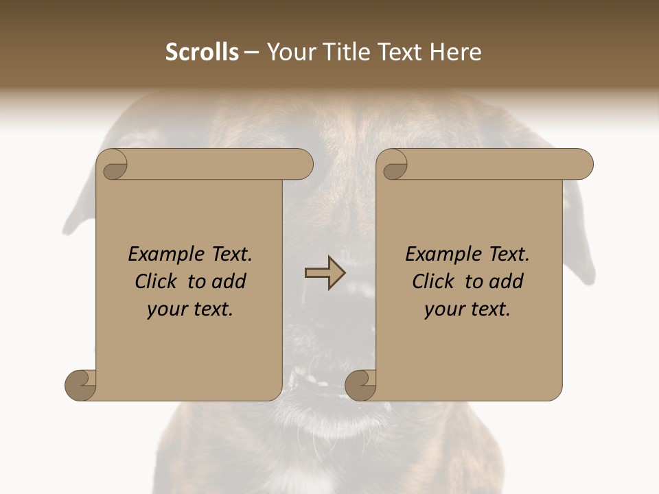 Adult Muzzle Cute PowerPoint Template