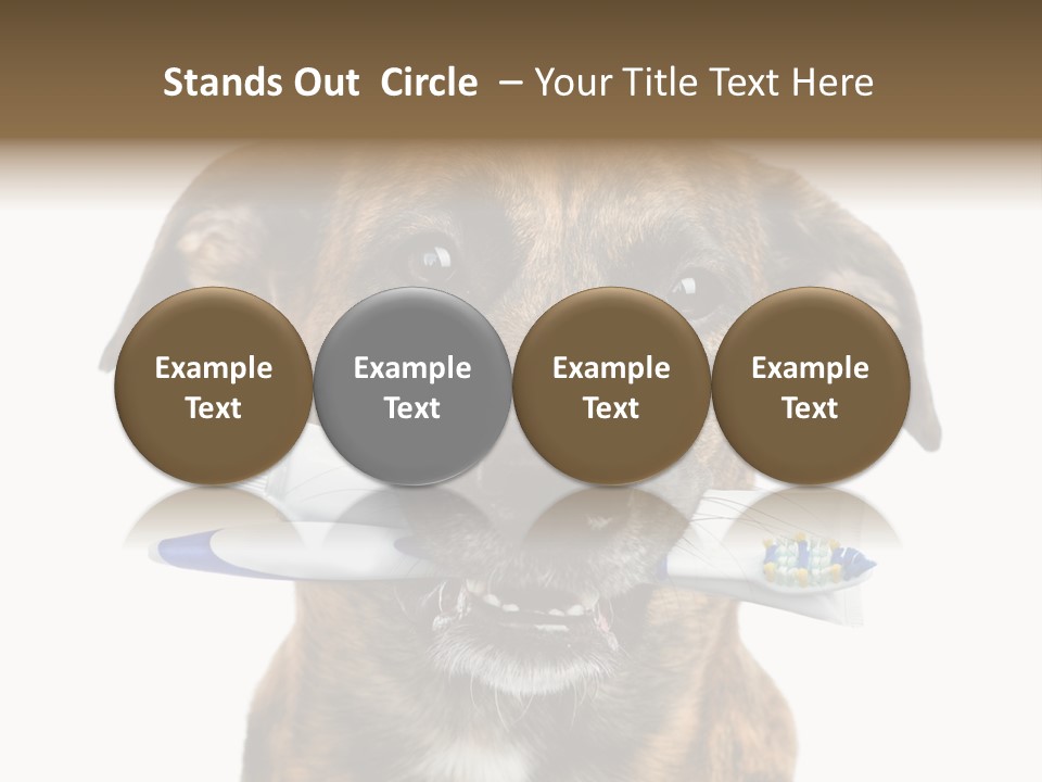 Adult Muzzle Cute PowerPoint Template