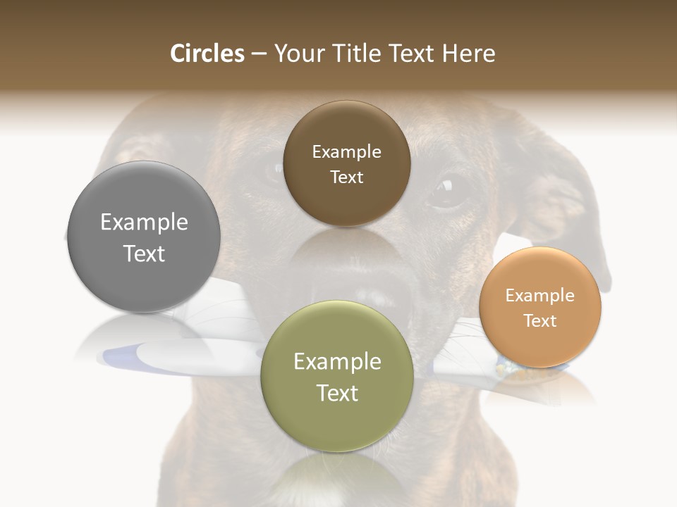 Adult Muzzle Cute PowerPoint Template