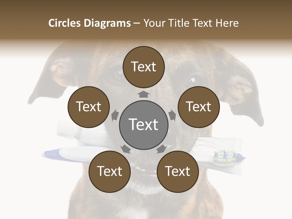 Adult Muzzle Cute PowerPoint Template