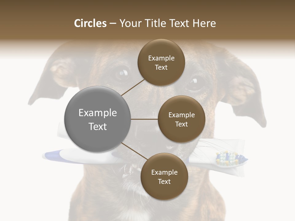 Adult Muzzle Cute PowerPoint Template