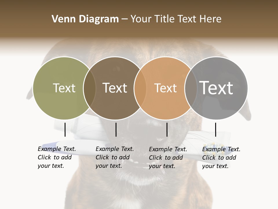 Adult Muzzle Cute PowerPoint Template