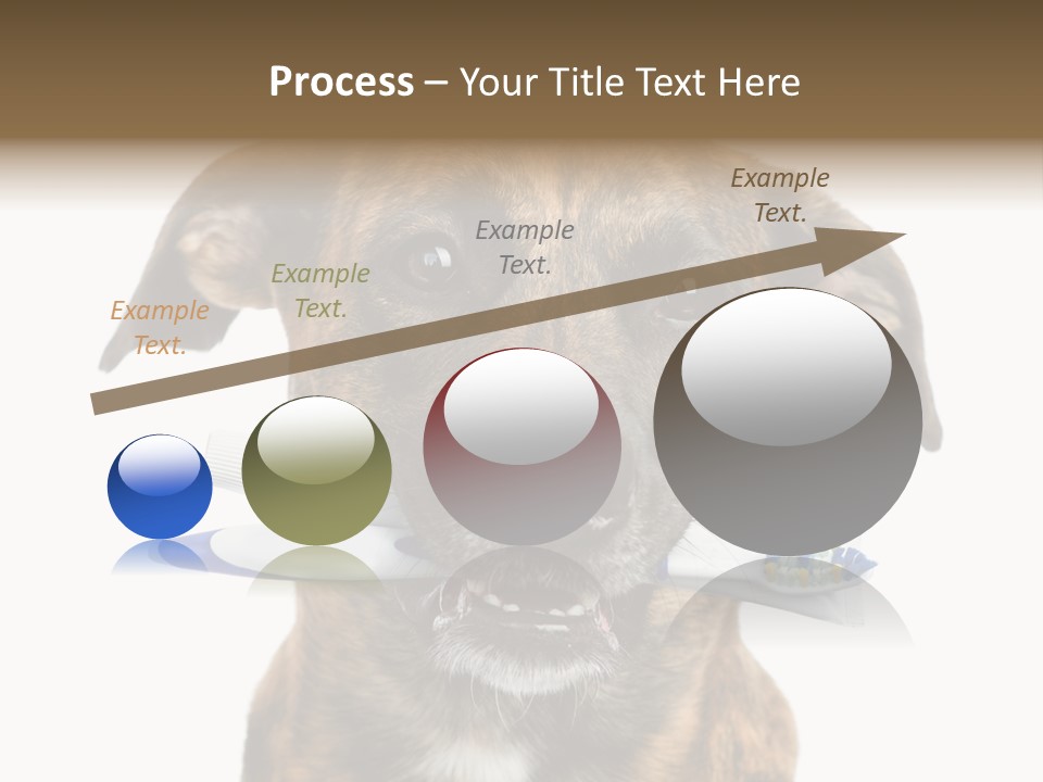 Adult Muzzle Cute PowerPoint Template