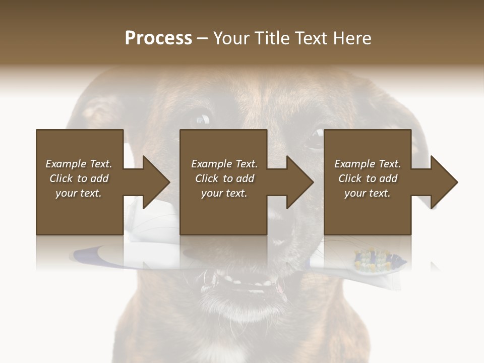 Adult Muzzle Cute PowerPoint Template