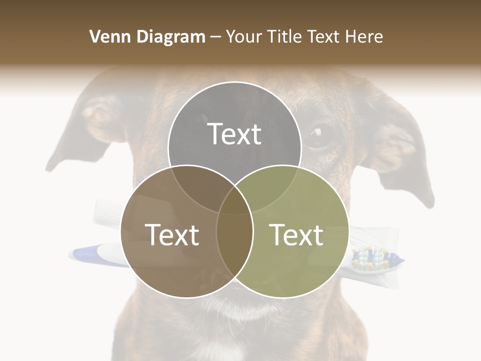 Adult Muzzle Cute PowerPoint Template