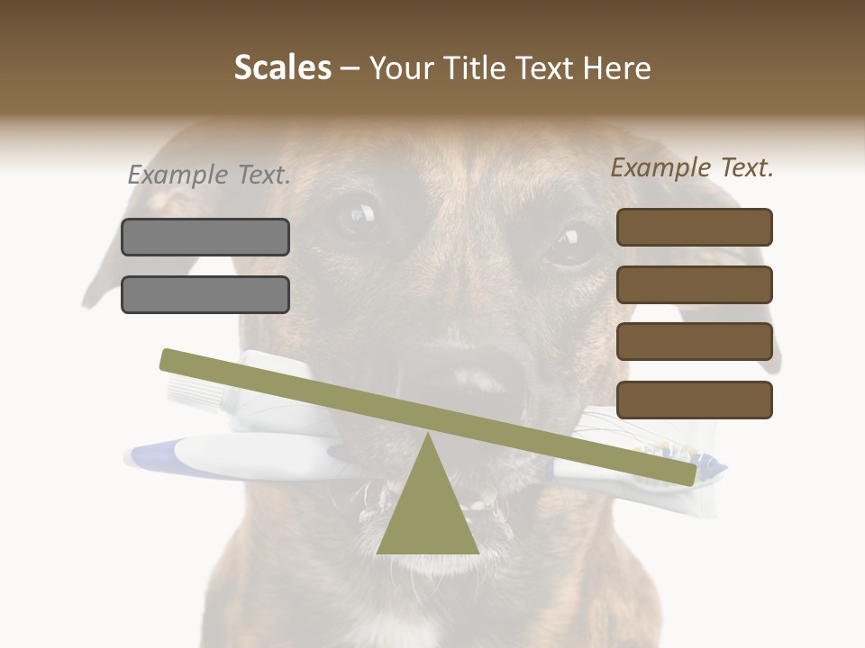 Adult Muzzle Cute PowerPoint Template