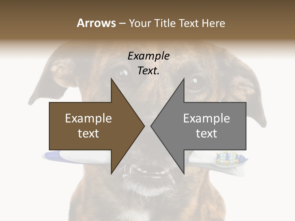 Adult Muzzle Cute PowerPoint Template