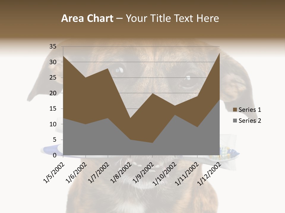 Adult Muzzle Cute PowerPoint Template