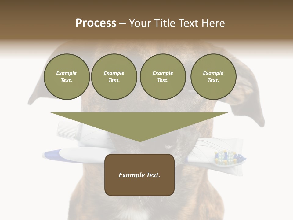 Adult Muzzle Cute PowerPoint Template