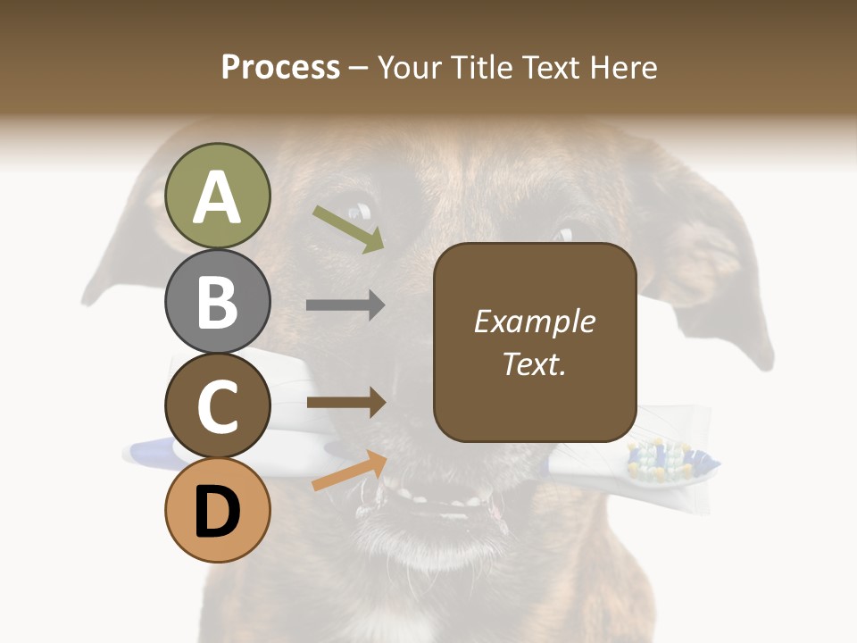 Adult Muzzle Cute PowerPoint Template