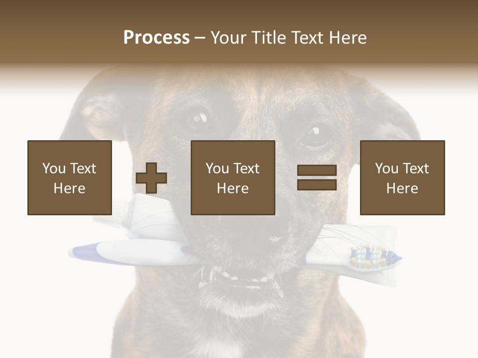 Adult Muzzle Cute PowerPoint Template