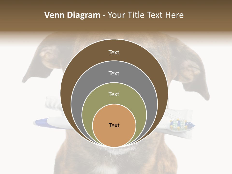 Adult Muzzle Cute PowerPoint Template