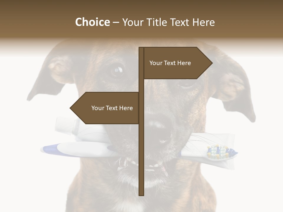 Adult Muzzle Cute PowerPoint Template