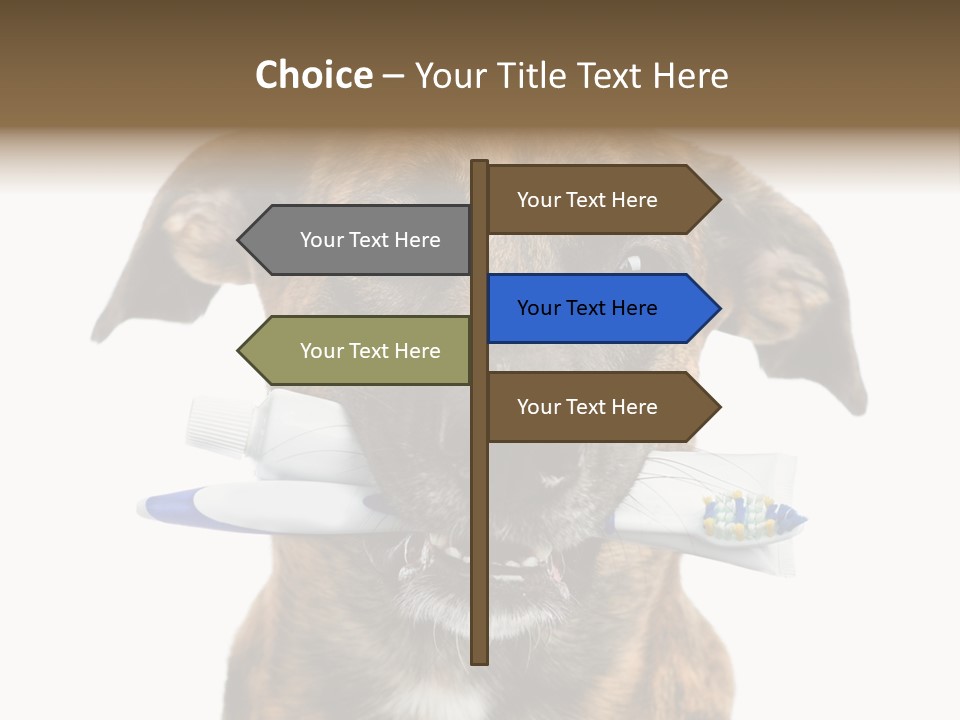 Adult Muzzle Cute PowerPoint Template