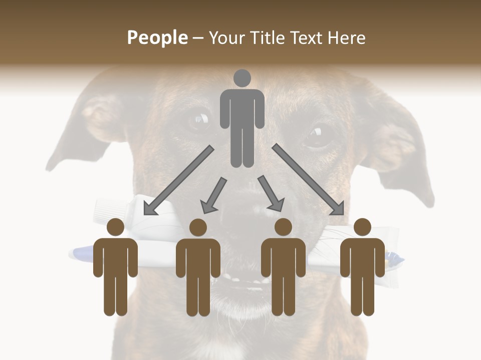 Adult Muzzle Cute PowerPoint Template
