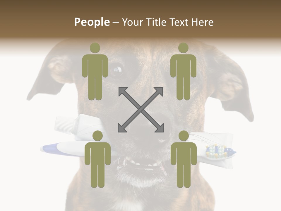 Adult Muzzle Cute PowerPoint Template
