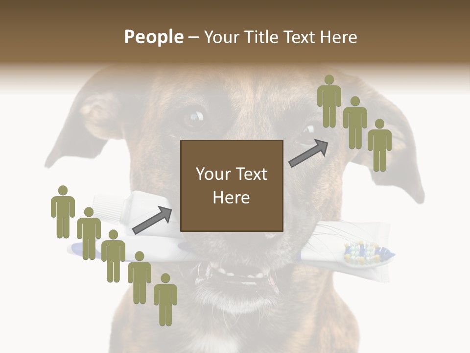 Adult Muzzle Cute PowerPoint Template