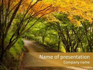 Gold Scenic Beauty PowerPoint Template