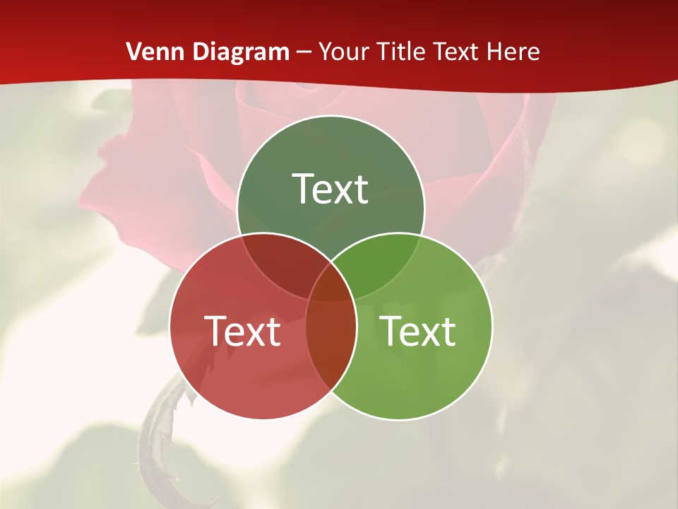 Plant Leaf Rose PowerPoint Template